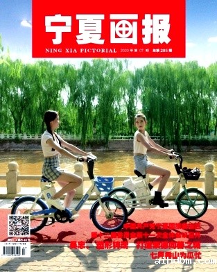 宁夏画报